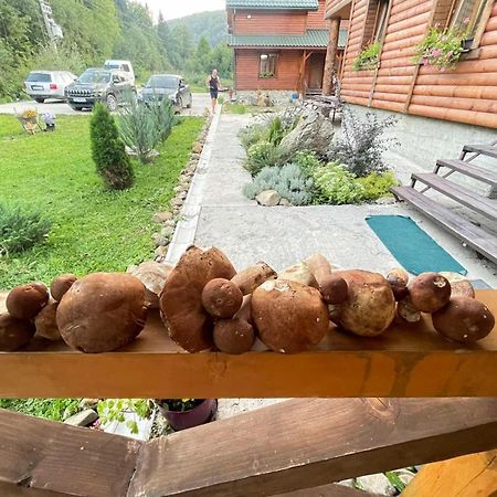 Villa Na uzlissi Myhove Dış mekan fotoğraf