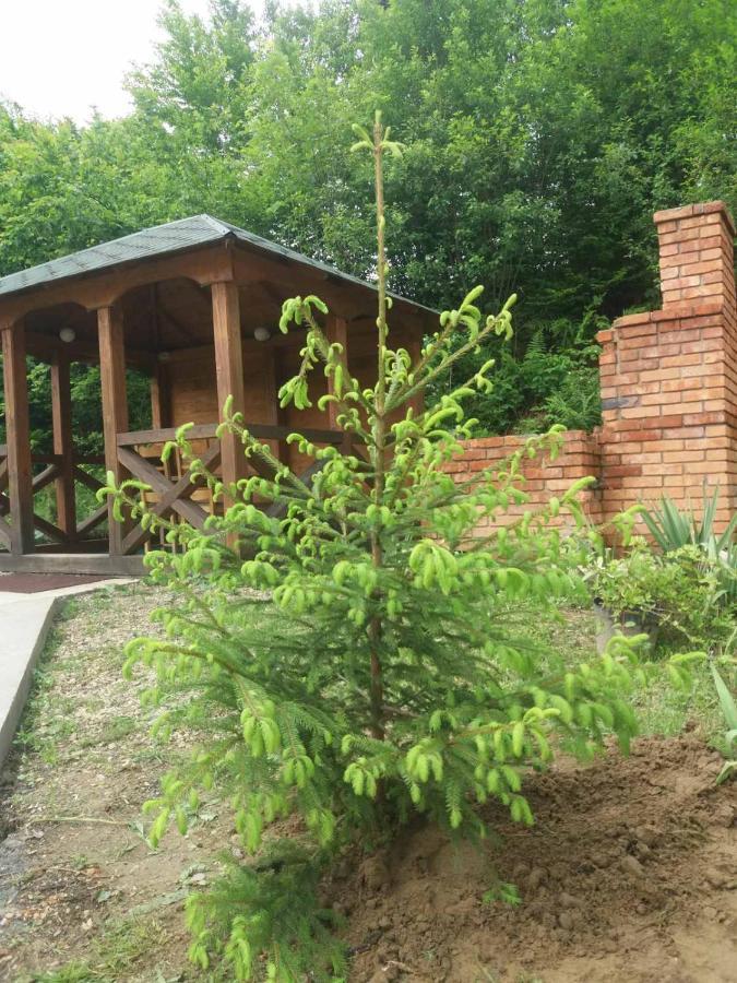 Villa Na uzlissi Myhove Dış mekan fotoğraf