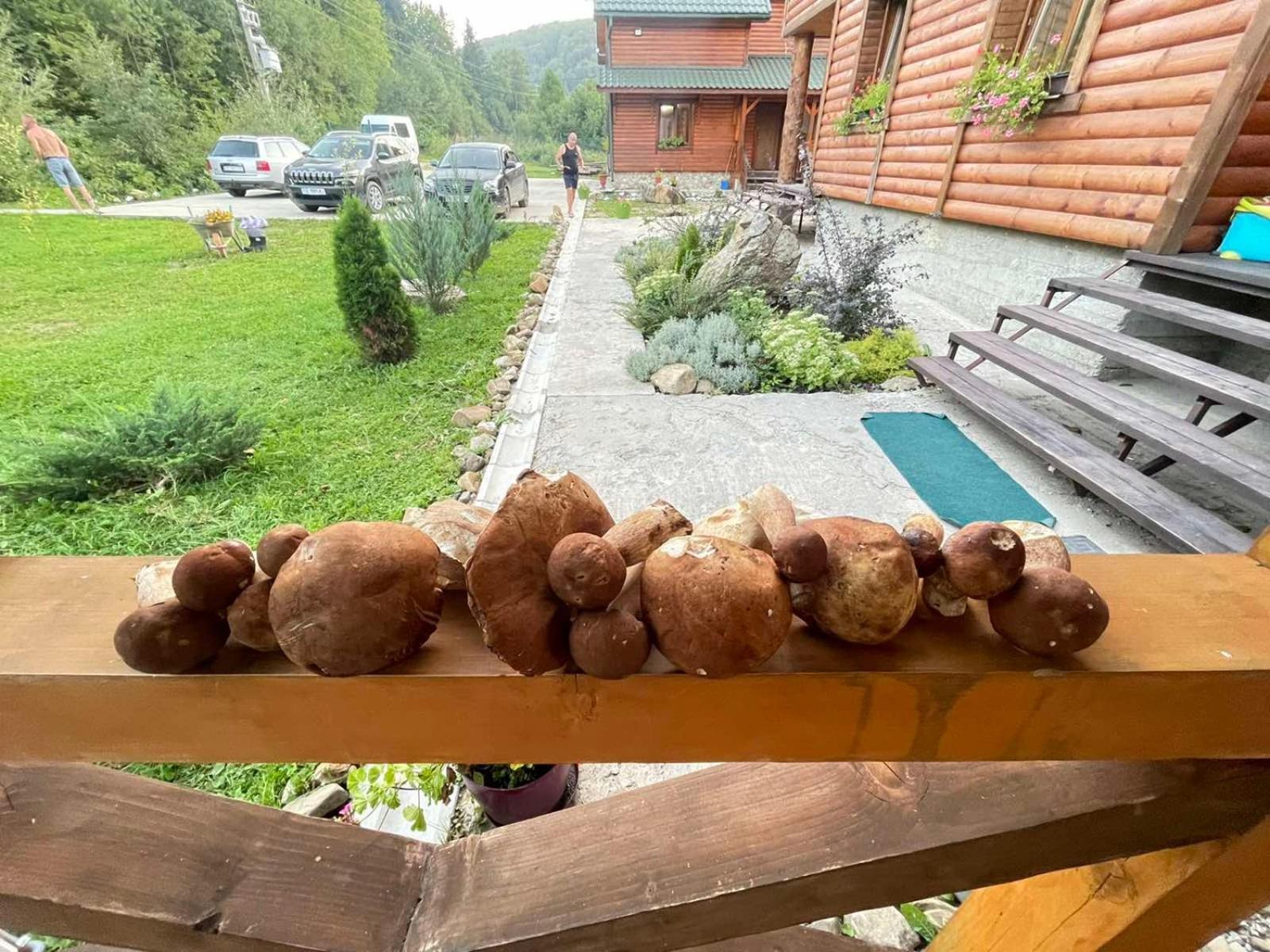Villa Na uzlissi Myhove Dış mekan fotoğraf